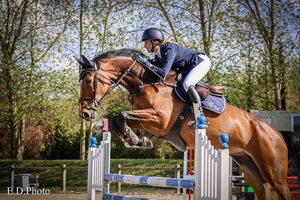 photos concours equestre